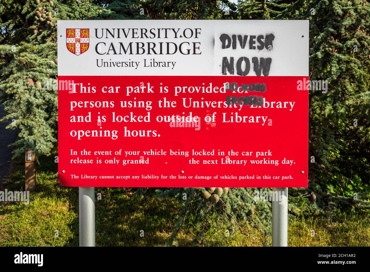 Cambridge University veräußert jetzt Proteste - veräußert Protest auf Schilder im Boden der Cambridge University Library gemalt. Stockfoto