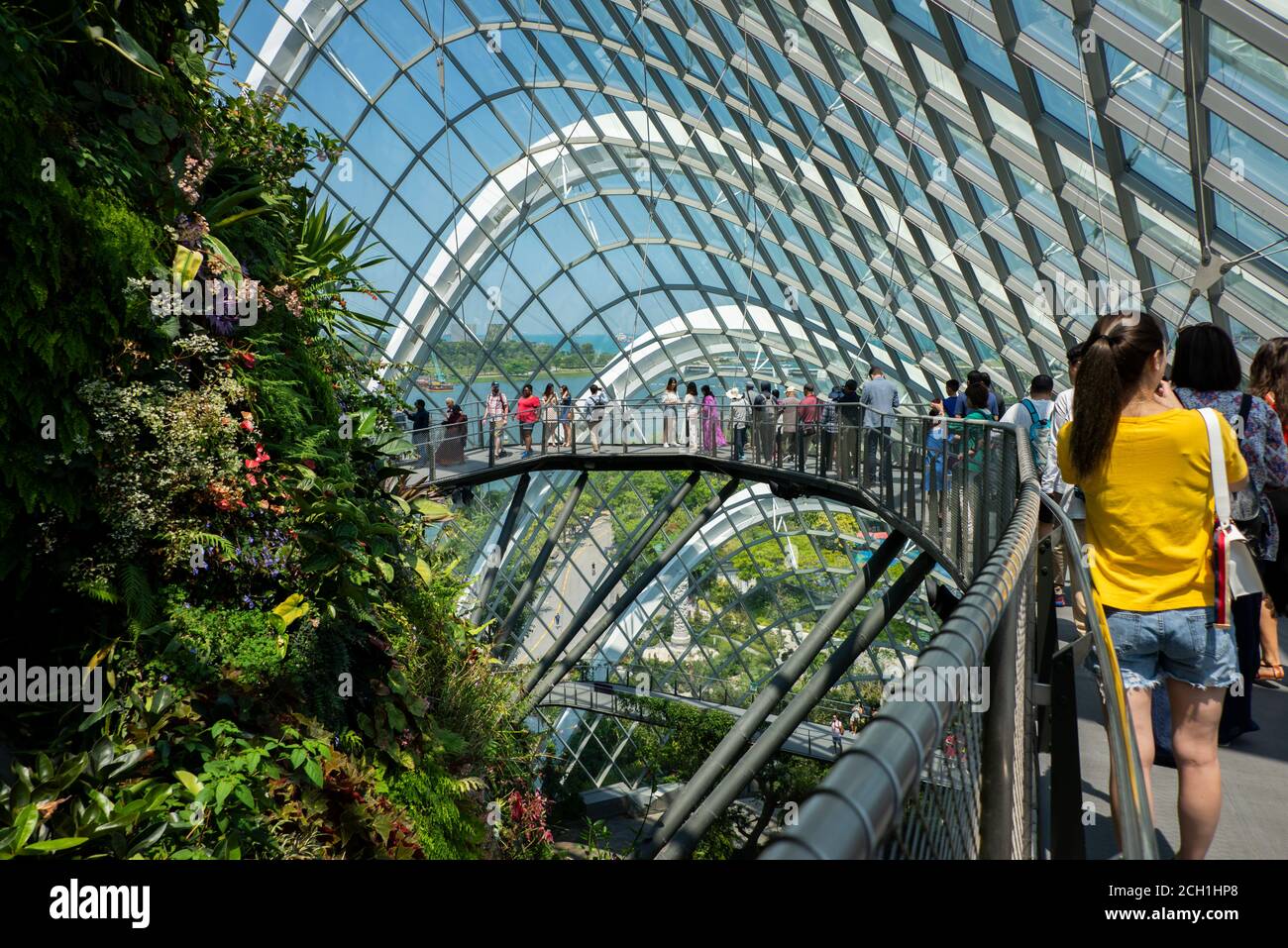 Singapur, Gardens by the Bay, Cloud Forest Dome. Innen verglaste Kuppel mit tropischen Regenwald Pflanzen. Erhöhte Gehwege mit Touristen. Stockfoto