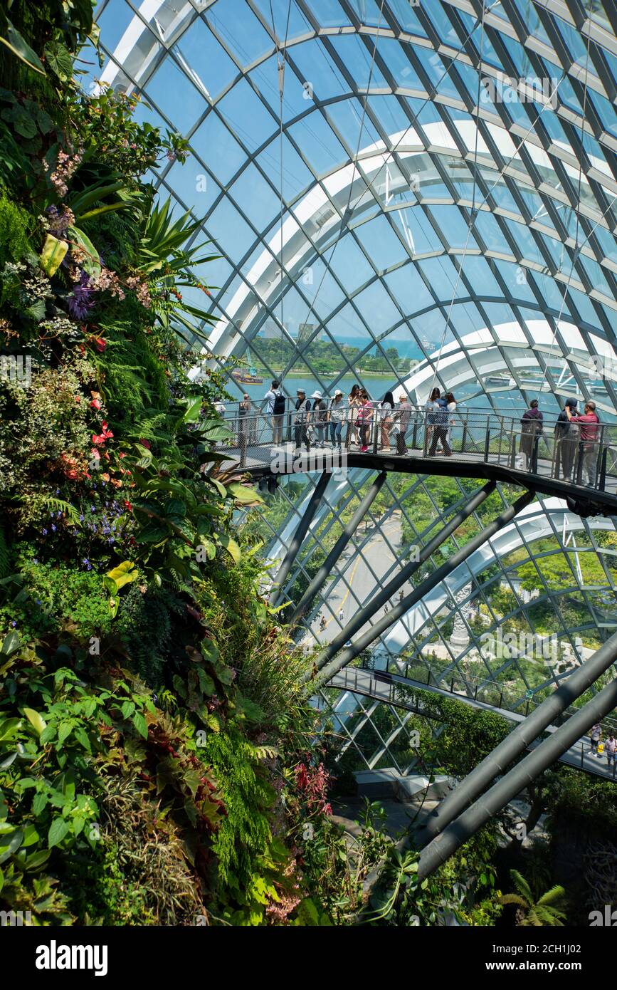 Singapur, Gardens by the Bay, Cloud Forest Dome. Innen verglaste Kuppel mit tropischen Regenwald Pflanzen. Erhöhte Gehwege mit Touristen. Stockfoto