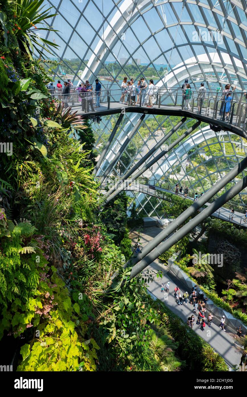 Singapur, Gardens by the Bay, Cloud Forest Dome. Innen verglaste Kuppel mit tropischen Regenwald Pflanzen. Erhöhte Gehwege mit Touristen. Stockfoto