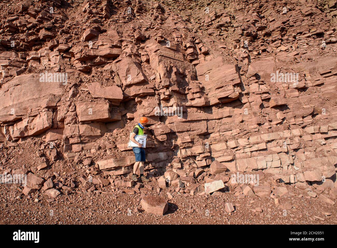 19. August 2020, Sachsen-Anhalt, Mammendorf: Michael Buchwitz, Kurator für Geowissenschaften am Museum für Naturkunde Magdeburg, steht im Mammendorfer Steinbruch vor einer Mauer mit verschiedenen Erdschichten, die sich über Millionen von Jahren übereinander abgelagert haben. In einer dieser Schichten findet der Wissenschaftler Spuren von Dinosauriern, die vor etwa 260 Millionen Jahren ihre Spuren im lehmigen Boden hinterlassen haben. Der Lebensraum war relativ trocken, aber das Gebiet wurde regelmäßig von starken Regenfällen überflutet. Das Regenwasser verdunstet schnell wieder und der lehmige Boden trocknet aus und versteinert. Die qua Stockfoto