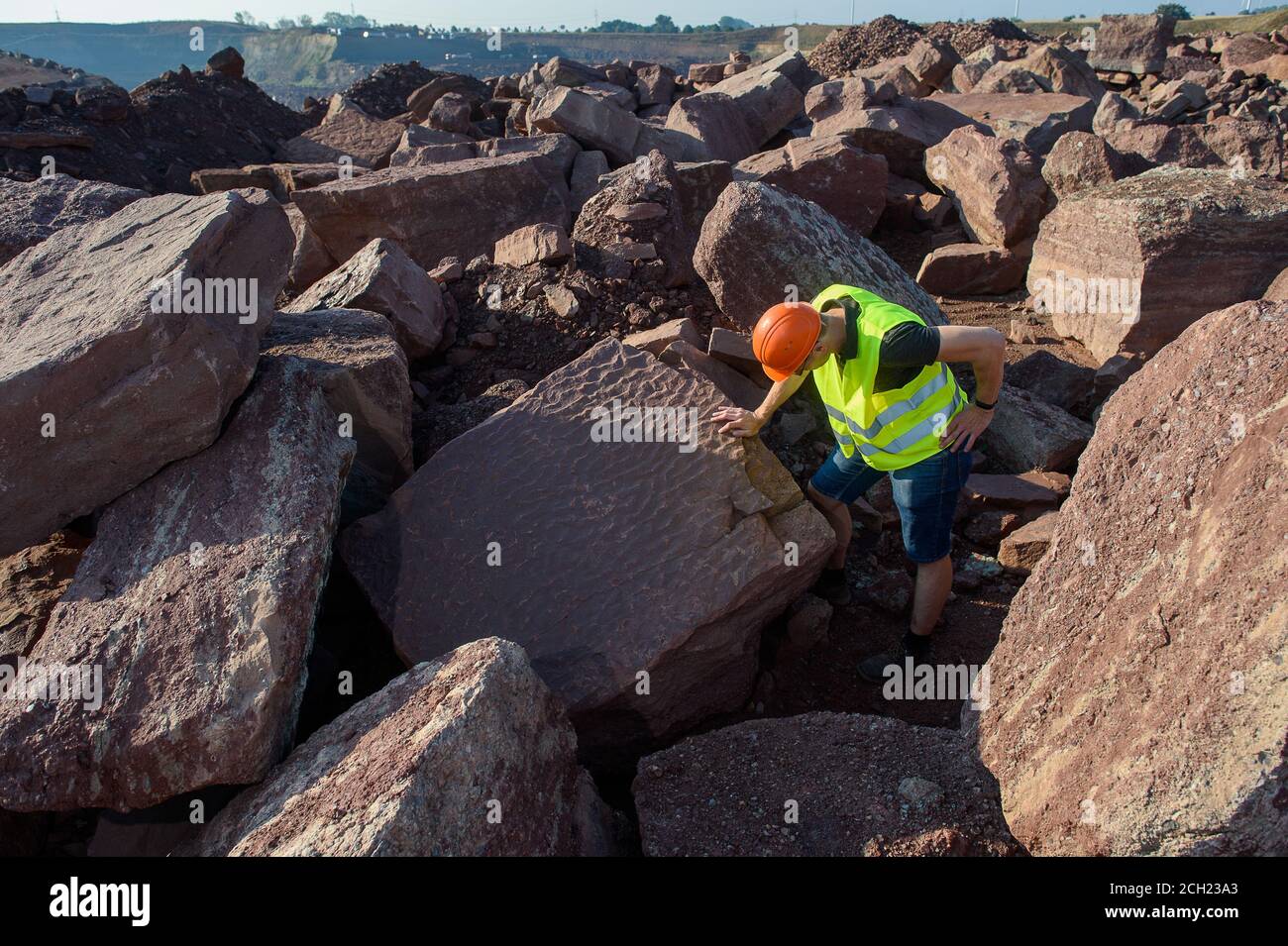 Mammendorf, Deutschland. August 2020. Michael Buchwitz, Kurator für Geowissenschaften am Museum für Naturkunde Magdeburg, steht im Steinbruch Mammendorf auf einem Schlammhaufen auf einer Steinplatte, auf der versteinerte Spuren von fließendem Wasser zu sehen sind. Solche Spuren von Wasser werden "Wellen" genannt. Sie beweisen, dass das Gebiet regelmäßig überflutet und dann wieder ausgetrocknet wurde. Seit 2016 suchen Wissenschaftler regelmäßig nach Dinosaurierspuren in den Slagheaps des Steinbruchs. Quelle: Klaus-Dietmar Gabbert/dpa-Zentralbild/ZB/dpa/Alamy Live News Stockfoto