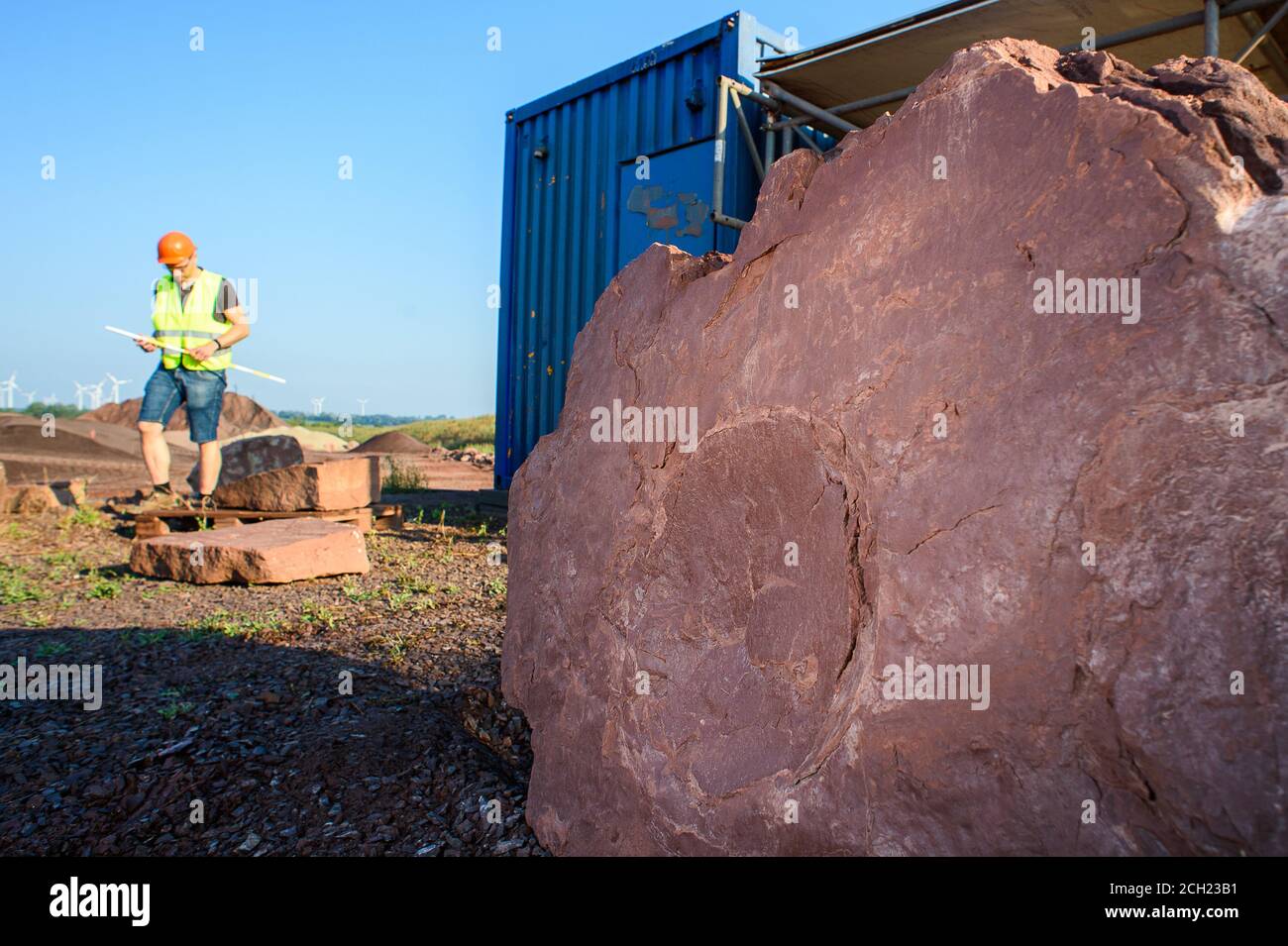 19. August 2020, Sachsen-Anhalt, Mammendorf: Der Abdruck eines Pareiasaurus in einer Steinplatte im Mammendorfer Steinbruch. Der Abdruck war vor etwa 260 Millionen Jahren vom Dinosaurier in den lehmigen Boden gepresst worden. Der Lebensraum war relativ trocken, aber das Gebiet wurde regelmäßig von Starkregen überflutet. Das Regenwasser verdunstet schnell wieder und der lehmige Boden trocknet aus und versteinert. Der Steinbruch gehört zur Hartsteinfabrik Mammendorf der Steinindustrie Cronenberg. Michael Buchwitz, Kurator für Geowissenschaften am Museum für Naturkunde Magdeburg, sucht regelmäßig nach Dinosaurierspuren Stockfoto