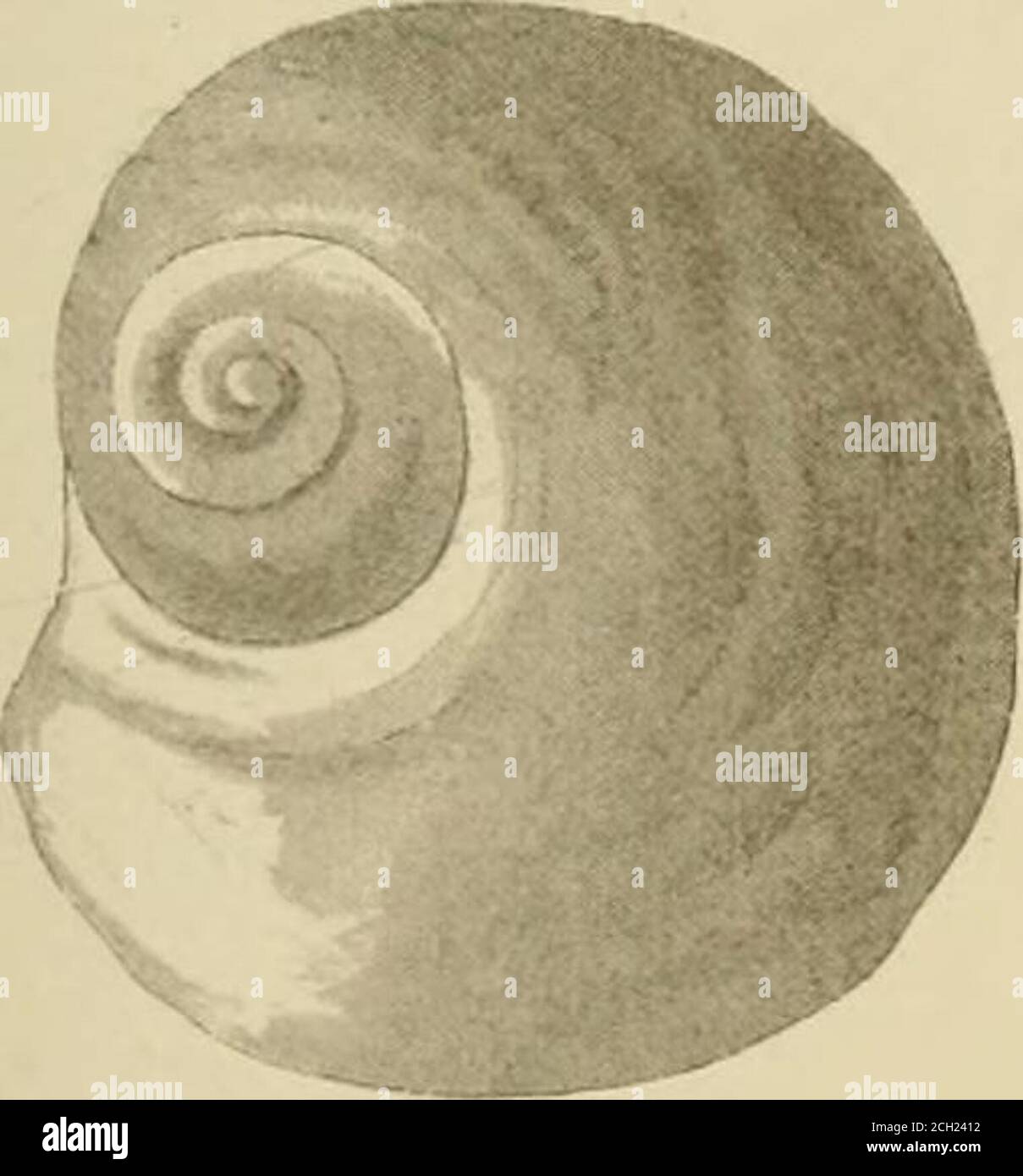 . Berichte von Erkundungen und Erhebungen, um die praktischste und wirtschaftlichste Route für eine Eisenbahn vom Mississippi zum Pazifischen Ozean zu ermitteln. Stockfoto