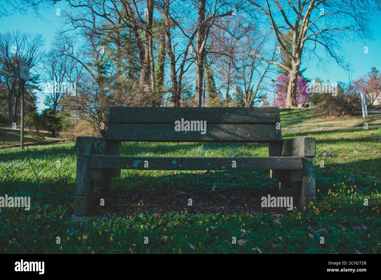 Eine alte Parkbank in einem Feld mit Schatten mit Bäume Dahinter Stockfoto