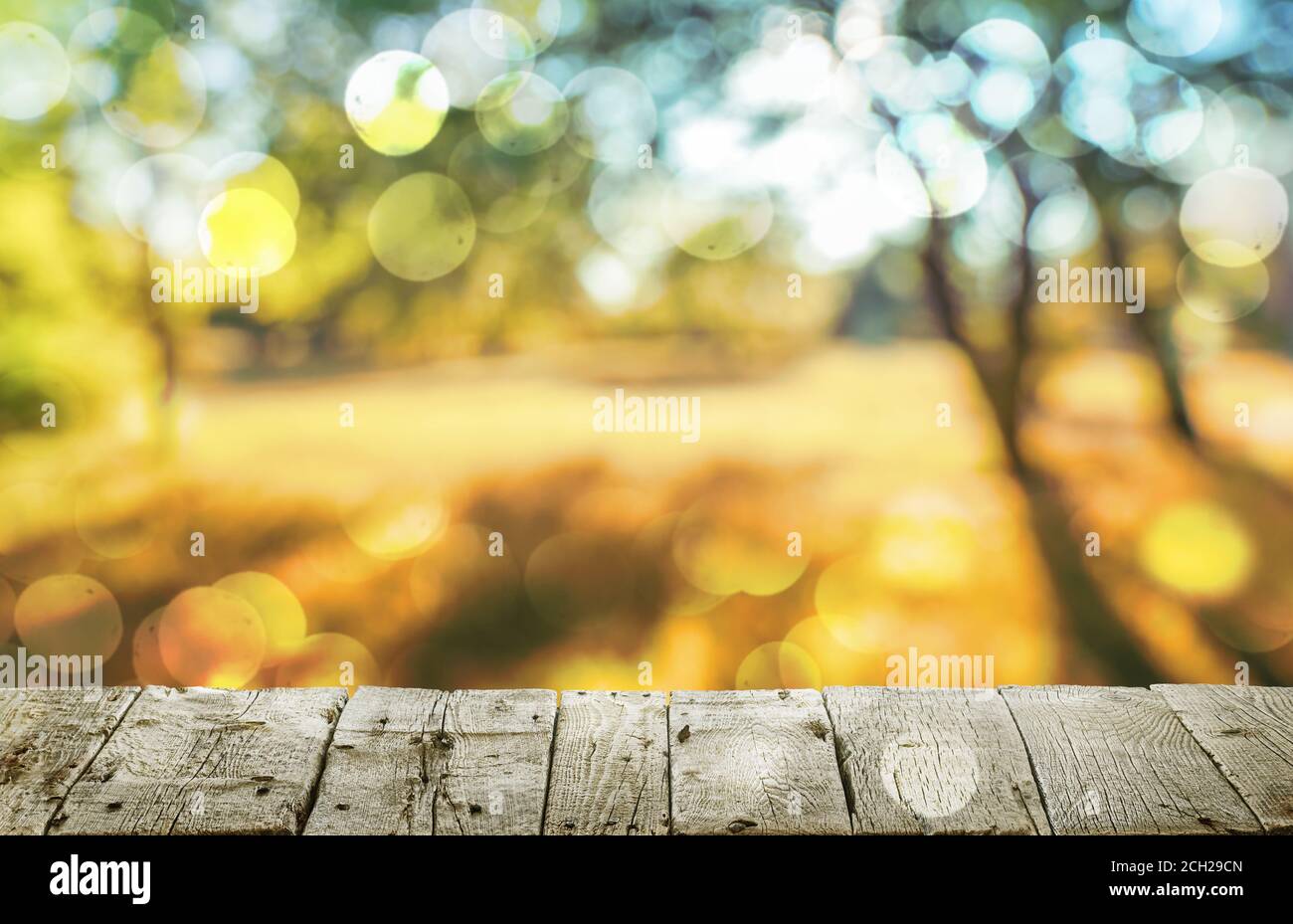 Holztisch und Herbst Wald Hintergrund Stockfoto