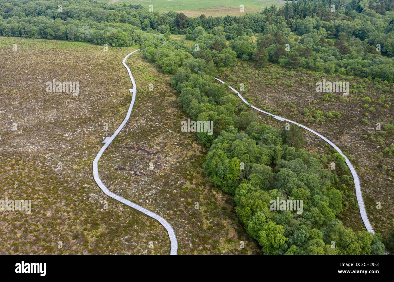 Luftaufnahme des Red Moss Naturreservats, Balerno, Midlothian. Stockfoto