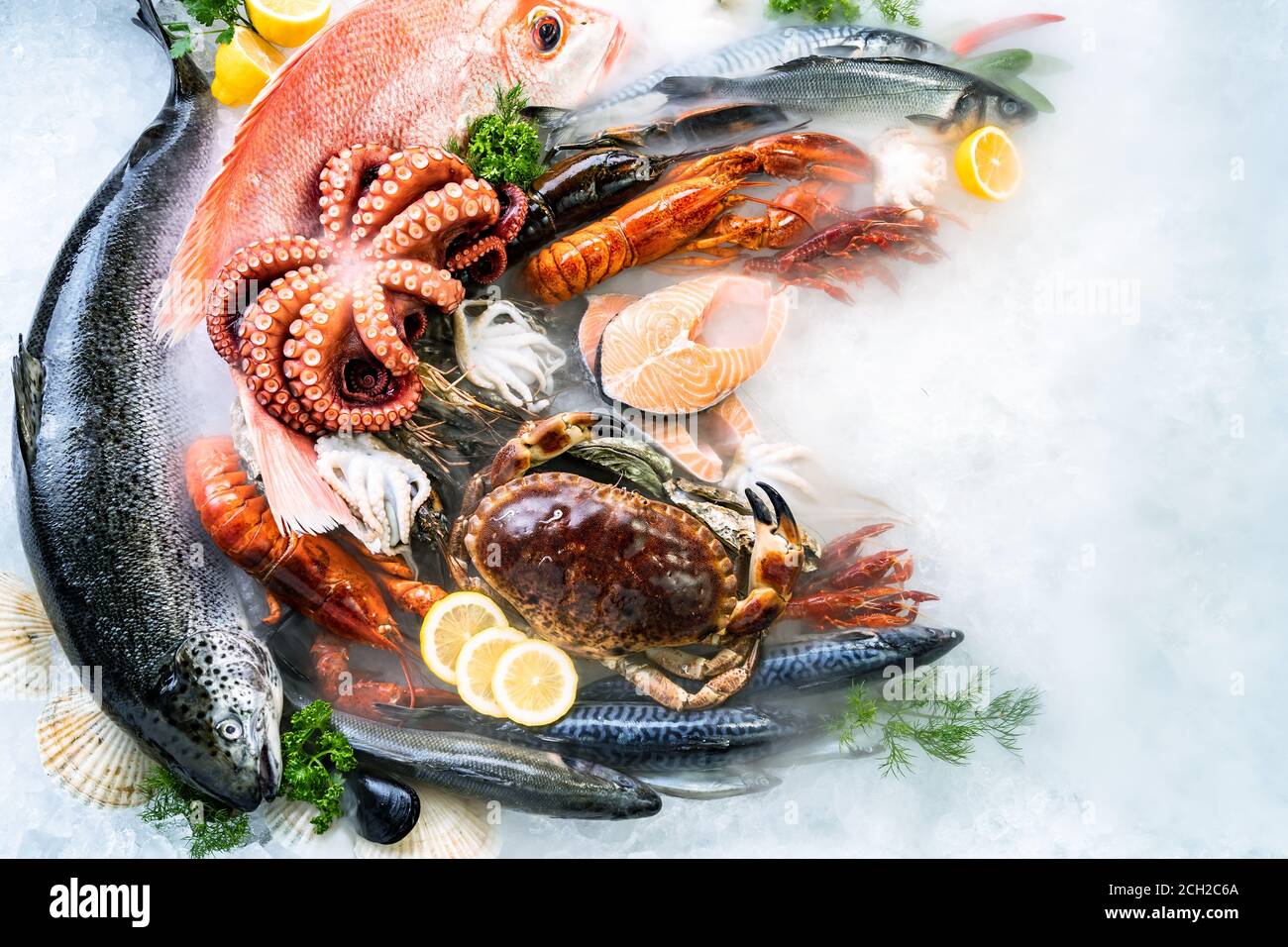 Blick von oben auf die Vielfalt an frischen luxuriösen Meeresfrüchten, Langusten Lachs Makrele Crawfish Krabben Krake Muschel Red Snapper Jakobsmuschel und Steinkrabben, auf Eis Backgrou Stockfoto