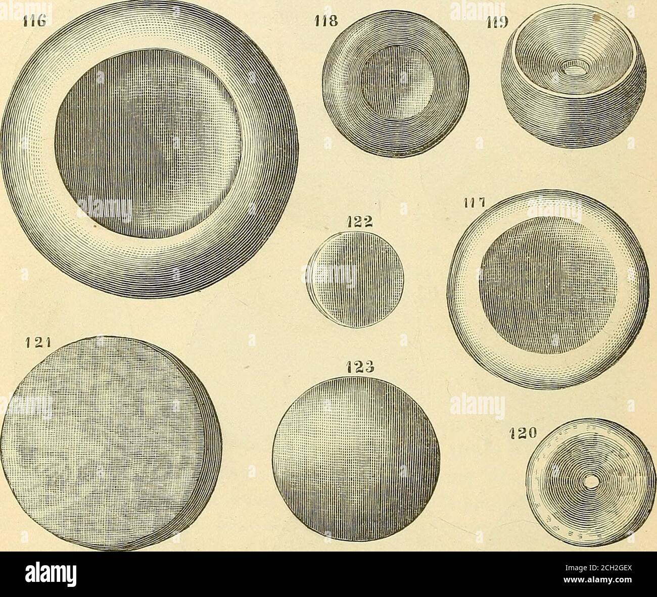 . Jahresbericht des Board of Regents der Smithsonian Institution . Abb. 26.Plummis und Sinkees. 654 EEPOKT OP NATIONALMUSEUM, 1888. Nr. 316 ist gelb-brauner eisenhaltiges Quarz, aus Tennessee; 117, brauner eisenhaltiges Quarz, aus Tennessee; 118, dunkler Grünstein, Froma Mound in Illinois. Bei einigen Exemplaren sind die Hohlräume an den Seiten tiefer als bei anderen, und ihre Mitte ist durch eine Perforation gekennzeichnet.Nrn. 119 und 120 sind Quarzit aus Ohio. Andere Proben sind mit-out die Schale-ähnliche Kavität. Nr. 12L ist Quarzit, aus Georgien. Somespecimens, ähnlich in jedem anderen Aussehen, sind Dimi Stockfoto