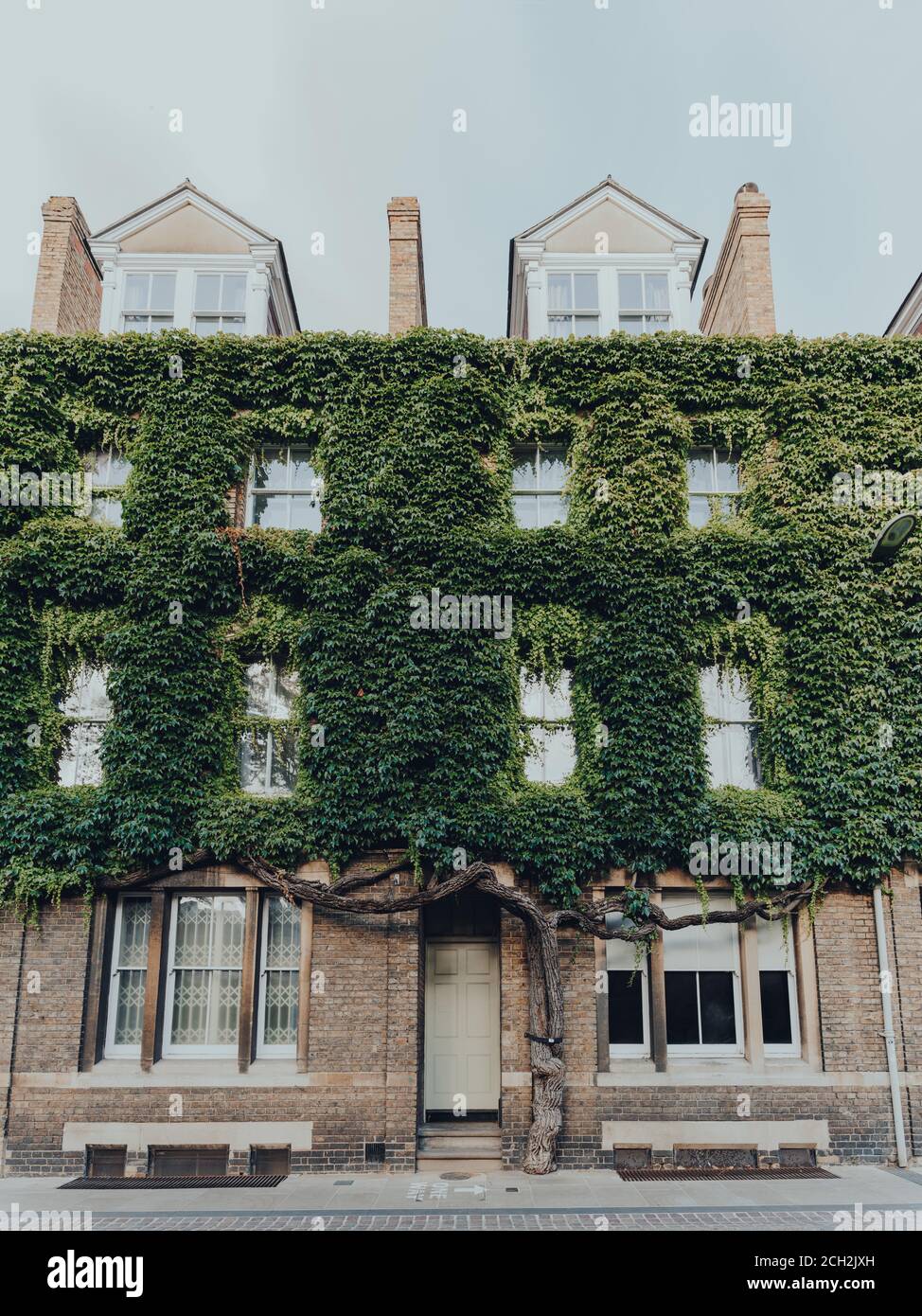 Oxford, Großbritannien - 04. August 2020: Fassade eines Gebäudes an der New Inn Hall Street in Oxford, einer Stadt in England berühmt für seine prestigeträchtige Universität, bedeckt Stockfoto