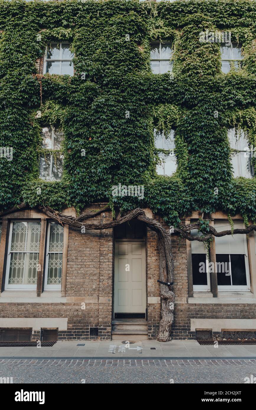Oxford, Großbritannien - 04. August 2020: Nahaufnahme einer Fassade eines Gebäudes an der New Inn Hall Street in Oxford, einer Stadt in England, die für ihre prestigeträchtige Univer berühmt ist Stockfoto
