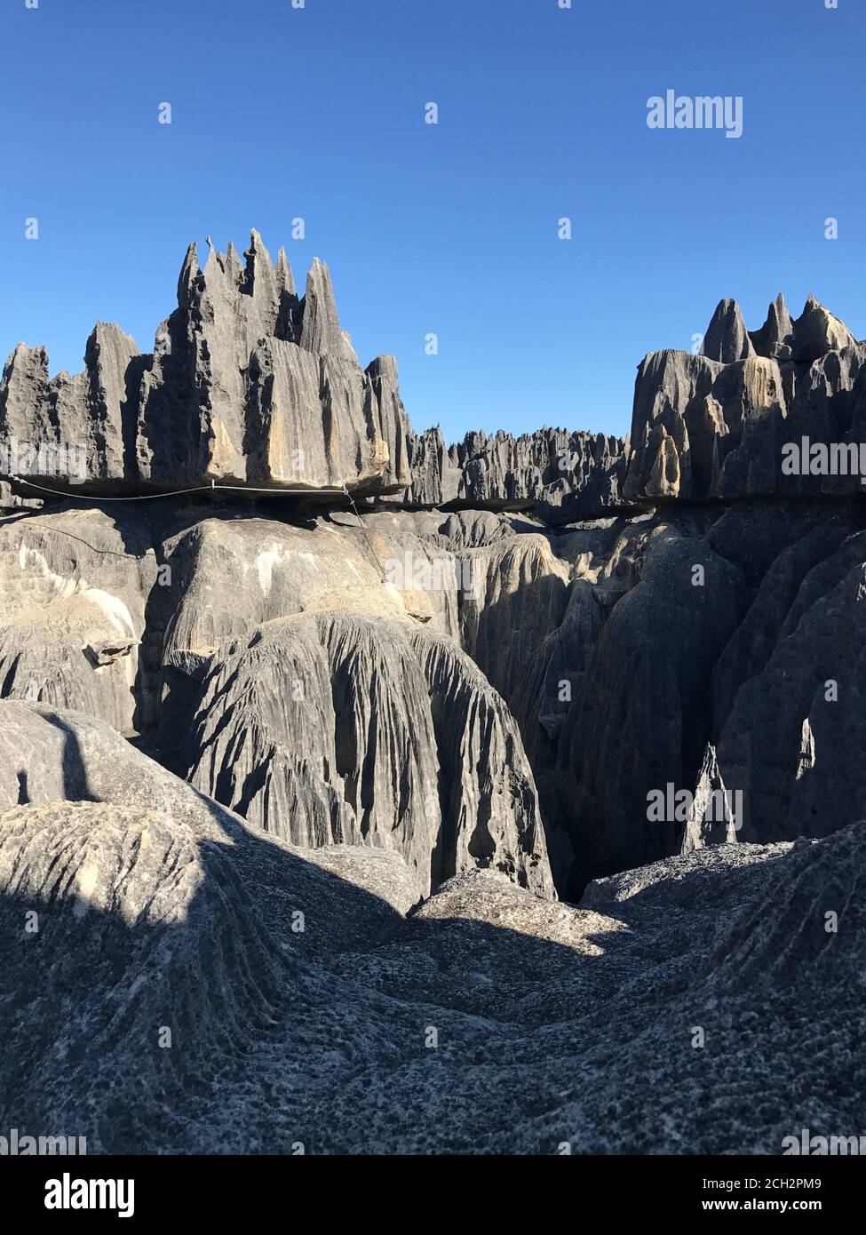 Tsingy de Bemaraha Naturschutzgebiet in Madagaskar. Unglaubliche Landschaft des Nationalparks Tsingy. Blick auf Stone Forest. Kalksteinfelsen. Felsiges Labyrinth. Stockfoto