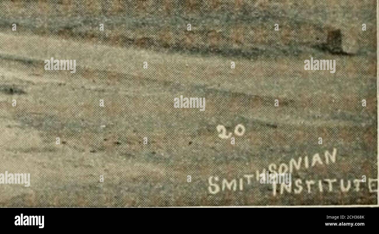 . Leitfaden für Washington; . S 1 I I I I I 11 1 N . der Smithsonian Institution, eine Einrichtung zur Vermehrung und Verbreitung des Wissens unter den Menschen. Die Gebäude befinden sich zwischen der 7. Und 12. Straße, auf dem Smithsonian Gelände, das als öffentlicher Park angelegt ist, mit breiten Antrieben und Fußwegen, schönen Rasenflächen und üppigen Bäumen. Sie sind von 9 A. ii. Bis 4 v. M. Wochentage undFeiertage geöffnet. Die Institution wendet etwa pally auf die medizinische und chirurgische Profes-sion auf. Das Museum zeigt die Methoden der militärischen Chirurgie, und Krankheiten und cas-ualties des Krieges; die Exponate konsistent Stockfoto