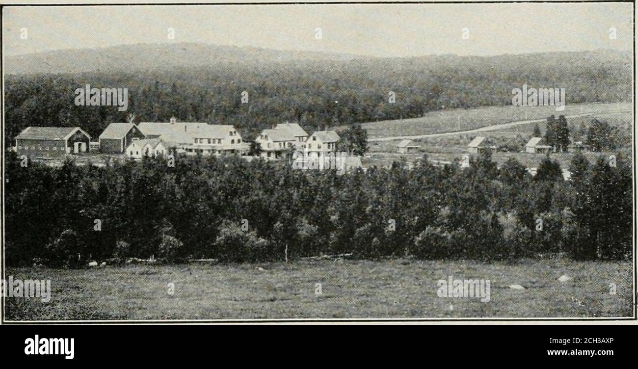 . In den Maine Wäldern . Bitte erwähnen Sie B. & A. Guide in schriftlicher Form Insertiers Hotel – Camps – Supplies 131 JJI.^ – m – nn – nn- -la M – an Rd BH M- -a» jn f. f^OKAD-JO bietet höchste Attraktionen fürSportler und Urlauber LAGE IST UNÜBERTROFFEN. Kokad-Jo Inn und Hütten sind am Fuße des ersten Kokad-Jo Teich (früher Roach Teich) und ist fast umkreist von malerischen Bergen. WIE KOMME ICH NACH KOKAD-JO. Von Greenville, am Moosehead Lake, gibt es Steamboat-Verbindung nach Lily Bay. Kokad-Jo ist sieben Meilen von Lily Bay entfernt, über dem fa-mous Ripogenus Automobil-Highway. Unser Auto trifft Dampffahrer bei Lily Ba Stockfoto