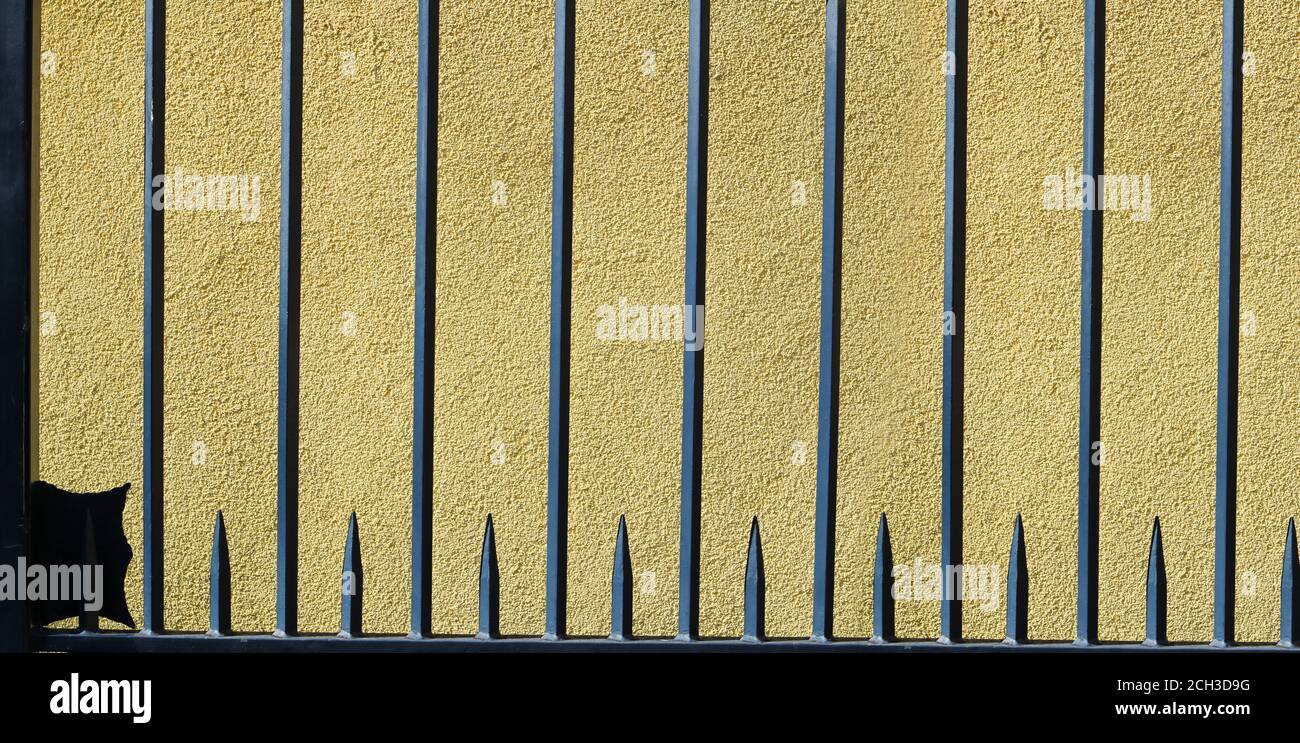 Wand für Präsentationshintergrund in hellgelbgrüner Farbe Stockfoto