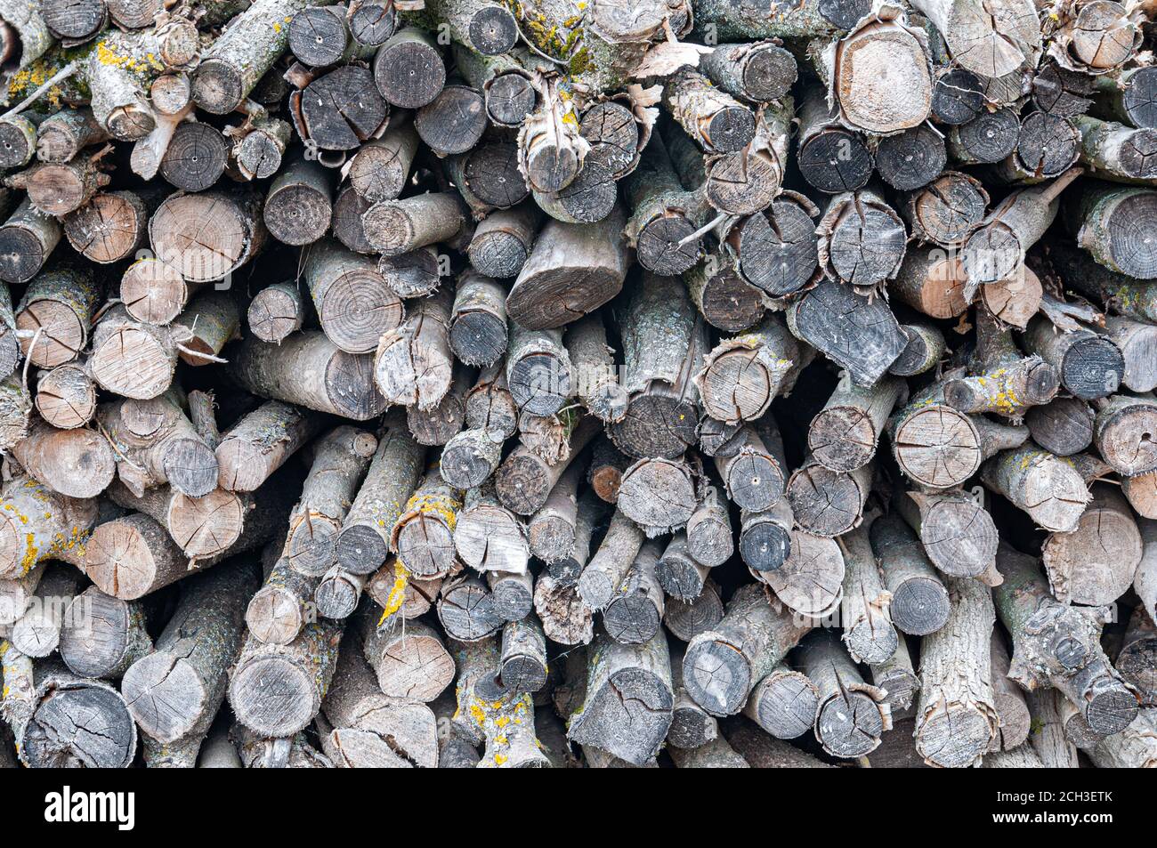 Stapel gehacktes Holz für den Winter vorbereitet Stockfoto