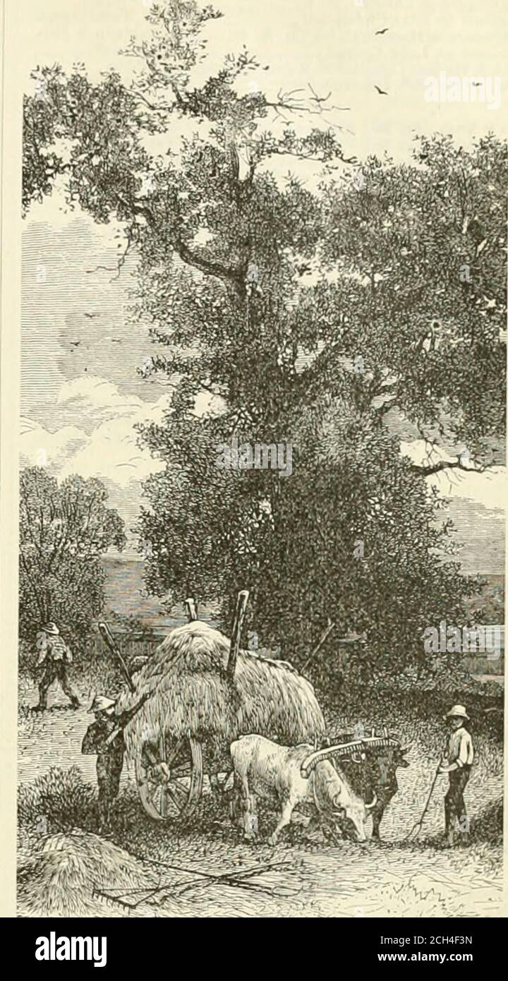 . Sommer Ausflugsrouten . Washington... 53 70! Richmond ... 60 70 (Via Niagara Falls, Montreal und Quebec; Connecticut Valley.) For rout* to ttlagir* Falls and fr tten York to f page= 138 to 128.)New York Central fie Hudson River R...toSteamer on Lake Ontario to Royal Mail Line of Steamers or Grand TrunkR. R. (Mahlzeiten auf dem Dampfer inbegriffen) t0 oder Ausflug 132. New York Central & Hudson River R. R... Nach Rom, Watertown & Ogdensburg R. R nach Thousand Island Steamboat Company nach Royal Mail Line of Steamers nach Royal Mail Line of Steamers oder Grand Trunk R. R. 1 Mahlzeiten auf dem Dampfer inbegriffen)..nach Montrea Stockfoto