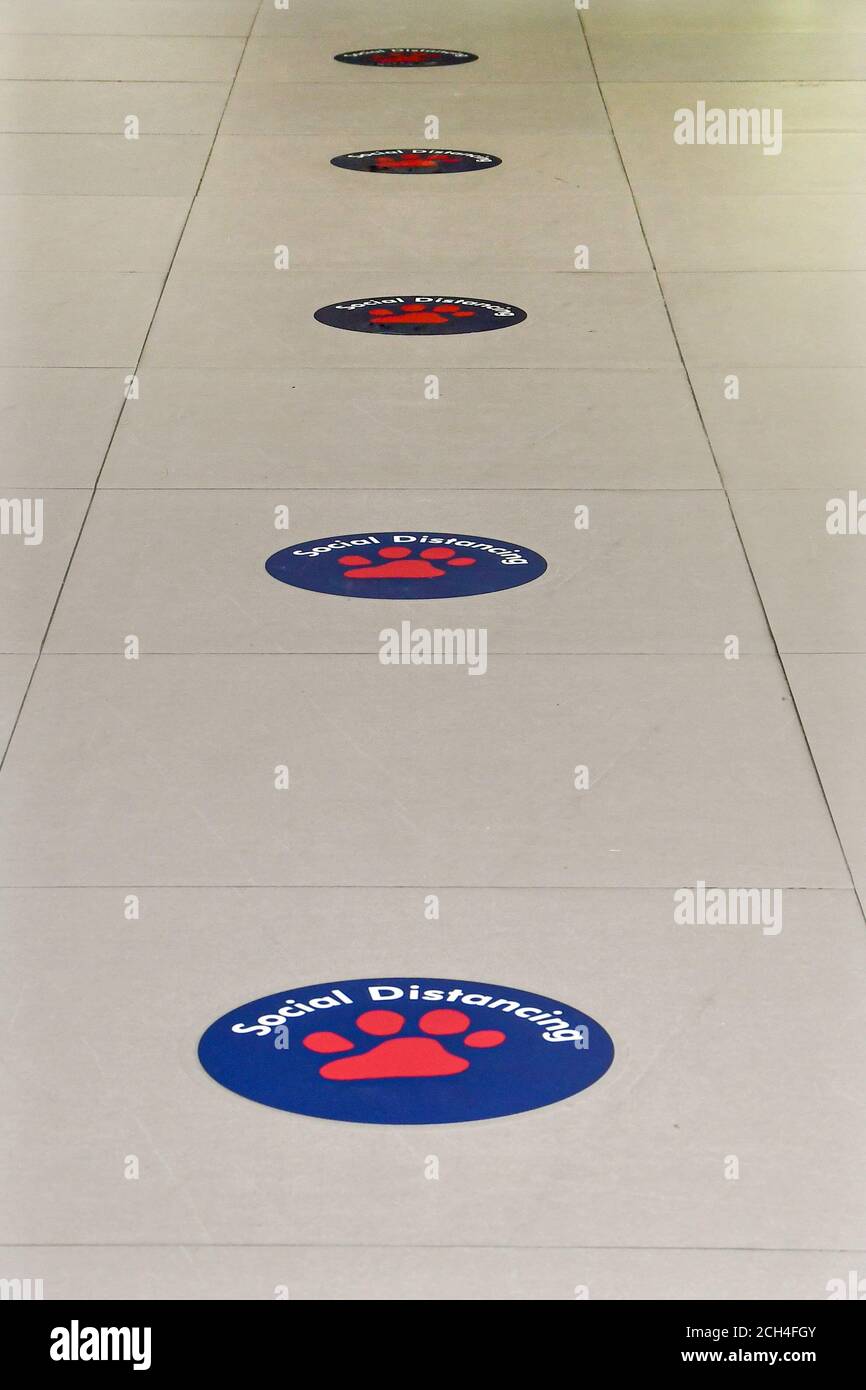 Perspektivischer Blick auf die sozialen Distancing Floor Markers in einem Bürogebäude während der covid 19 Pandemie. Stockfoto