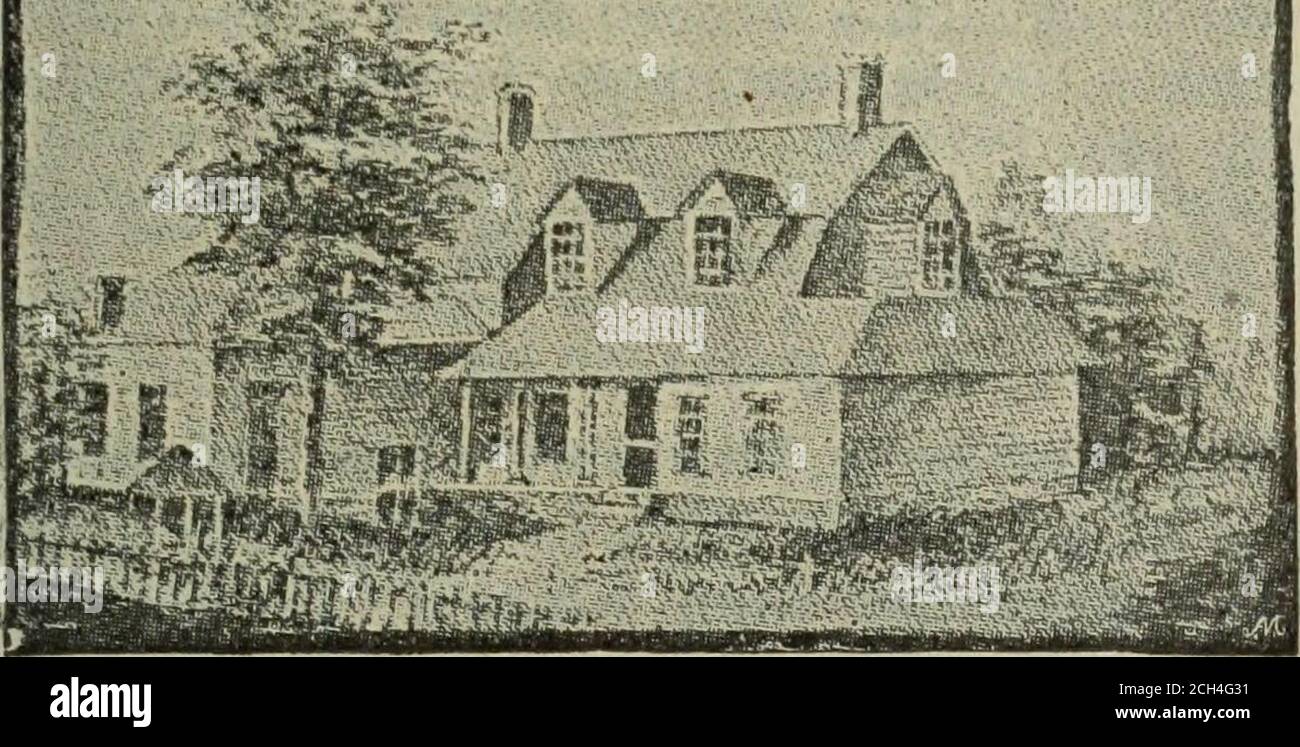 . Rückblick auf Bewertungen und die Arbeit der Welt . dann ein zwölf-Jähriger boyâdrove die zweite, während Frau. Willard fuhr den dritten. Frances und Marysat auf dem Schreibtisch in ihrem Mütterwagen. Der große Neufundländer Hund trabte hinterher. Sie waren drei Wochen lang dabei, ihre Reise zu vollenden. Als sie Chicago erreichten, fanden wir so viele Schlammlöschenmit großen Schildern oben, kein Boden hier, dass Vater sagte, dass er nicht eingestellt werden würde, um in einem solchen Ort zu leben. EINST DIE UNGEKRÖNTE KÖNIGIN DER AMERIKANISCHEN DEMOKRATIE. 431 und das Pferd, das meine Mutter trieb, ging in den Qui hinab, und es kam zu den Ohren, und die Leute mußten die Nägel von den Zäunen und p kommen Stockfoto