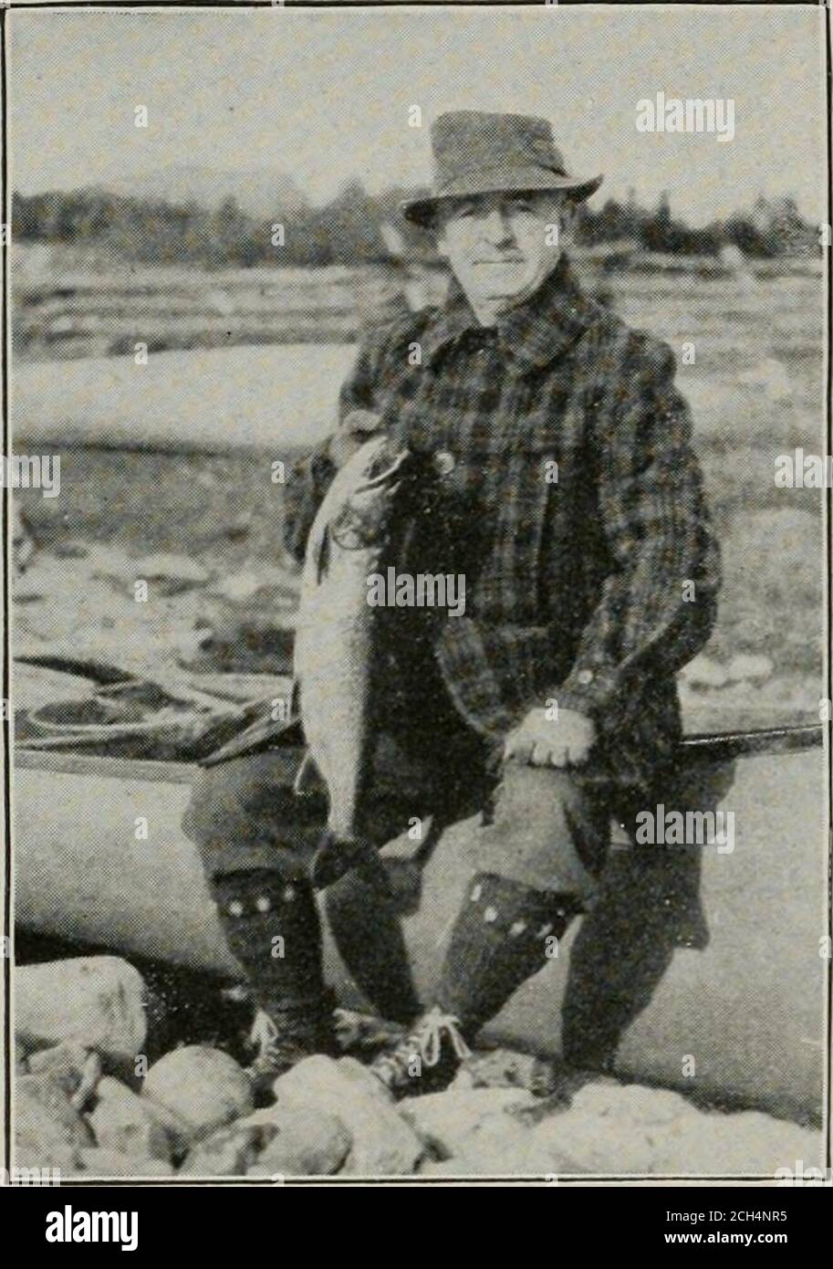 . In den Maine Wäldern . An der Greenville Junction machen die Boote der Coburn Steamboat Company regelmäßig Ausflüge zu den Variospoints auf dem See. In Greenville Junction gibt es ein gutes Hotel, die Piscataquis Exchange, und anderthalb Kilometer von Green-ville Junction, am Ufer des Sees, ist das Squaw MountainInn, das fein gelegen ist. Es gibt einen guten autostraßenzum Gasthaus und es kann auch mit dem Motorboot erreicht werden. In Verbindung mit dem Gasthaus sind zahlreiche Hütten für private Feiern und es gibt viele Attraktionen für Gäste - Angeln, Jagen, Motorbootfahren und Kanufahren und einige herrliche Spaziergänge Stockfoto