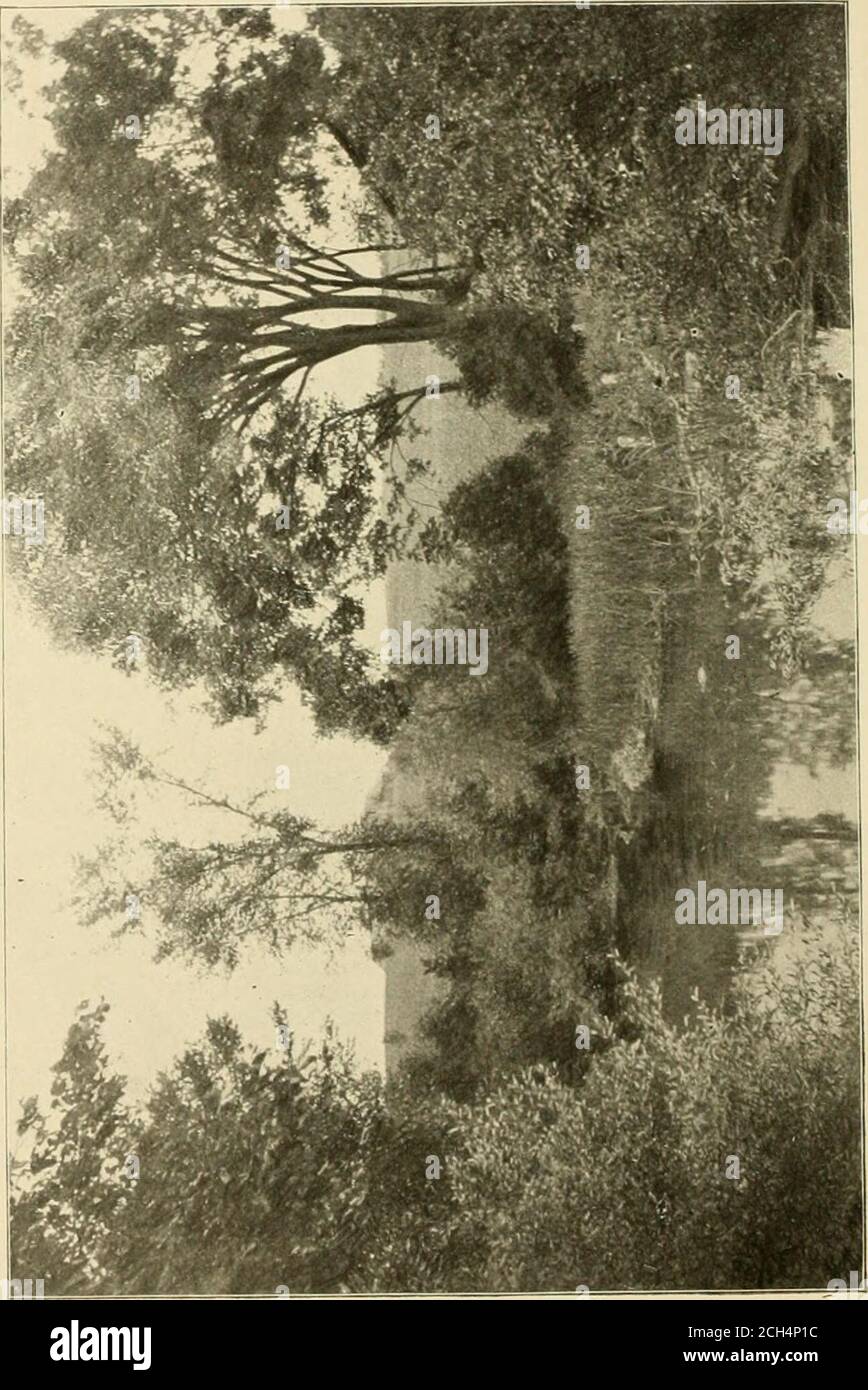 . Lehigh Valley Eisenbahn Sommertouren zu Berg, See und Meer Resorts . o 38 Lake Winola, Pa., ist P.^GE. Laurys. Pa., 11 Lewis Point. N. V 31 Lodi. N..Y 24 Mackin:ic Island 37 Karte Si s. Mauch Chunk, Pa 11. 12. 13 Mayville. N. Y. (Cliaiilauqua Lake), 31 Meshoppen, Pa 19 Mailand Pa 19 Muskoka Lakes, lju; 40 New York Terminals, 44 Niagara Falls. N. Y.. 3s Oneida Creek, N. Y., 31 Unuida Lake. N. Y 31 Owasco Lake, 28 Pan-American Exposition, 33 Paxinosa Inn (Easton, Pa.) 7,8,9 Rochester, N. Y 32 Sault Ste. Marie. Mich 37 Sayre, Fa., 19 Sheldrake. N. Y 22 Slatcrville Springs, N. Y 29 South Bay, N. Stockfoto