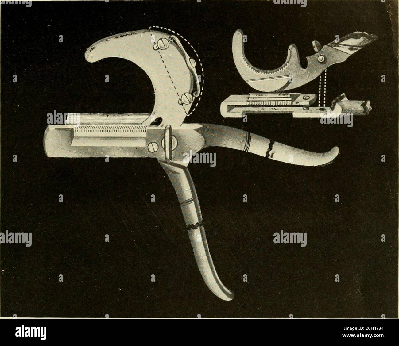 . Tierkastration, ein Buch für die Verwendung von Studenten und Praktikern; . Dreifach-Crimp-Emaskulator. (Hack View.) Tierkastration 19. Abb. S – Anseptischer Dreifach-Crimp-Emaskulator mit selbsteinstellender Hilfsbefestigung. Anatomie – EIN umfassendes Wissen über die Anatomie der inguinalen und skrotalen Regionen ist unerlässlich, wenn ein Mensch jemals wie ein spannender Erfolg bei der Durchführung der verschiedenen notwendigen Operationen, die später beschrieben werden, sein kann. Allerdings wird es nach dem begrenzten Platz, den ich zur Verfügung habe, unmöglich sein, togo in die kleinsten Details hier einzuarbeiten. Für vollständige und detaillierte Anatomiebereiche Stockfoto