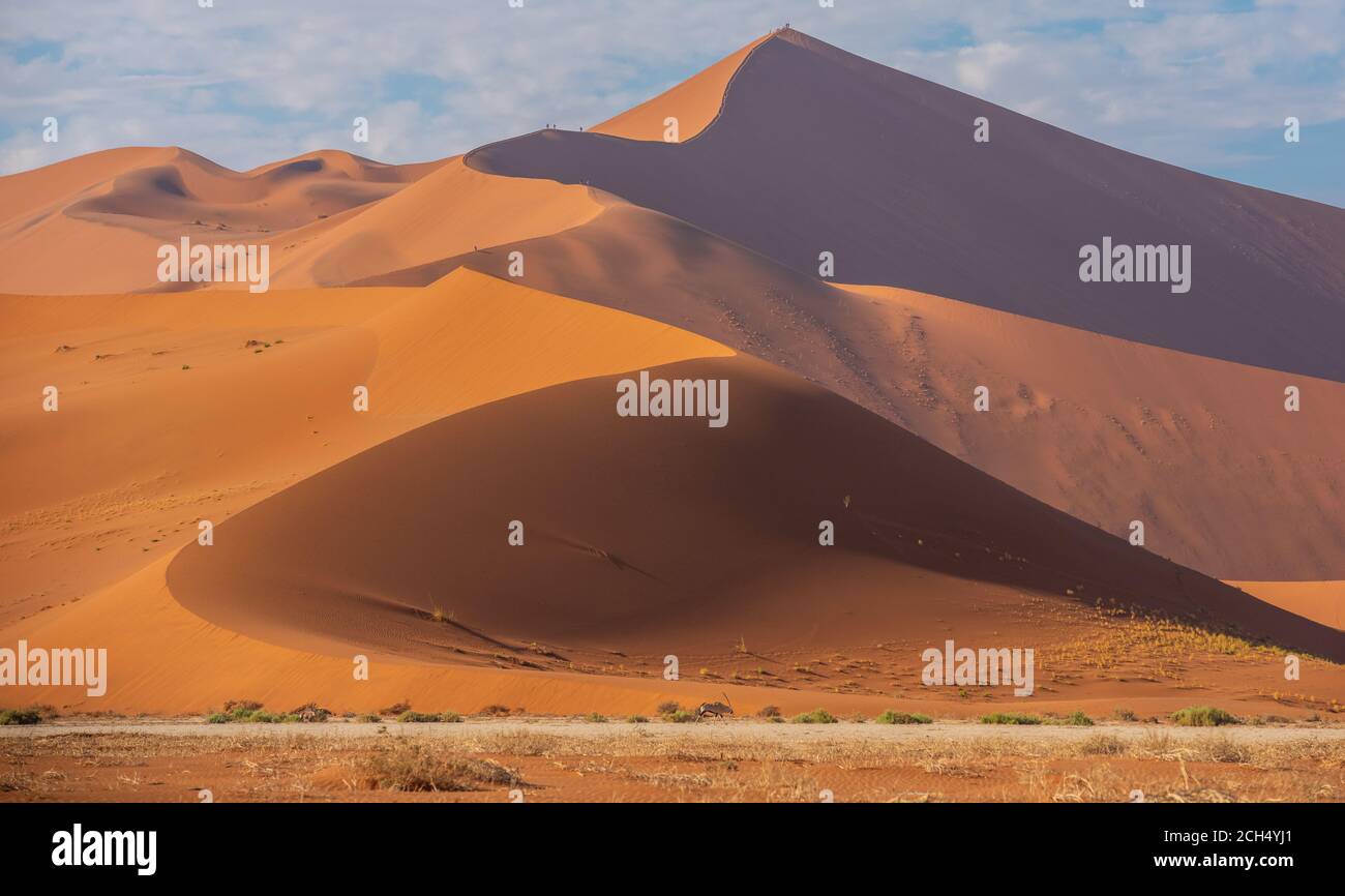 Big Daddy Sand Dune Sossusvlei Namibia Stockfoto