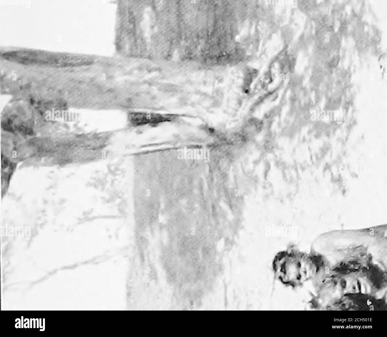 . Über Australien. Art, und dann von den Mädchen tatsächliche Mutter gegessen, oder, wenn die latterbe nicht lebendig, von einer Stammesmutter. Wenn es ein mans Zahn sein, ist sein Schicksal noch neugieriger. Es wird von seiner Schwiegermutter gezerstochen und muss gefressen werden – was vielleicht der außergewöhnlichste Nutzen für eine Schwiegermutter ist, den jeder Australienstamm erdacht hat. Die Eingeborenen waren immer sehr besorgt, dass wir alles sehen sollten, und dies führte manchmal zu unserer verschwendinga viele unbequeme Stunden, die ziemlich trostlos Aufführungen von keinem besonderen Interesse zu sehen; aber natürlich lassen Sie sie dies wissen, wie sonst wir hav Stockfoto