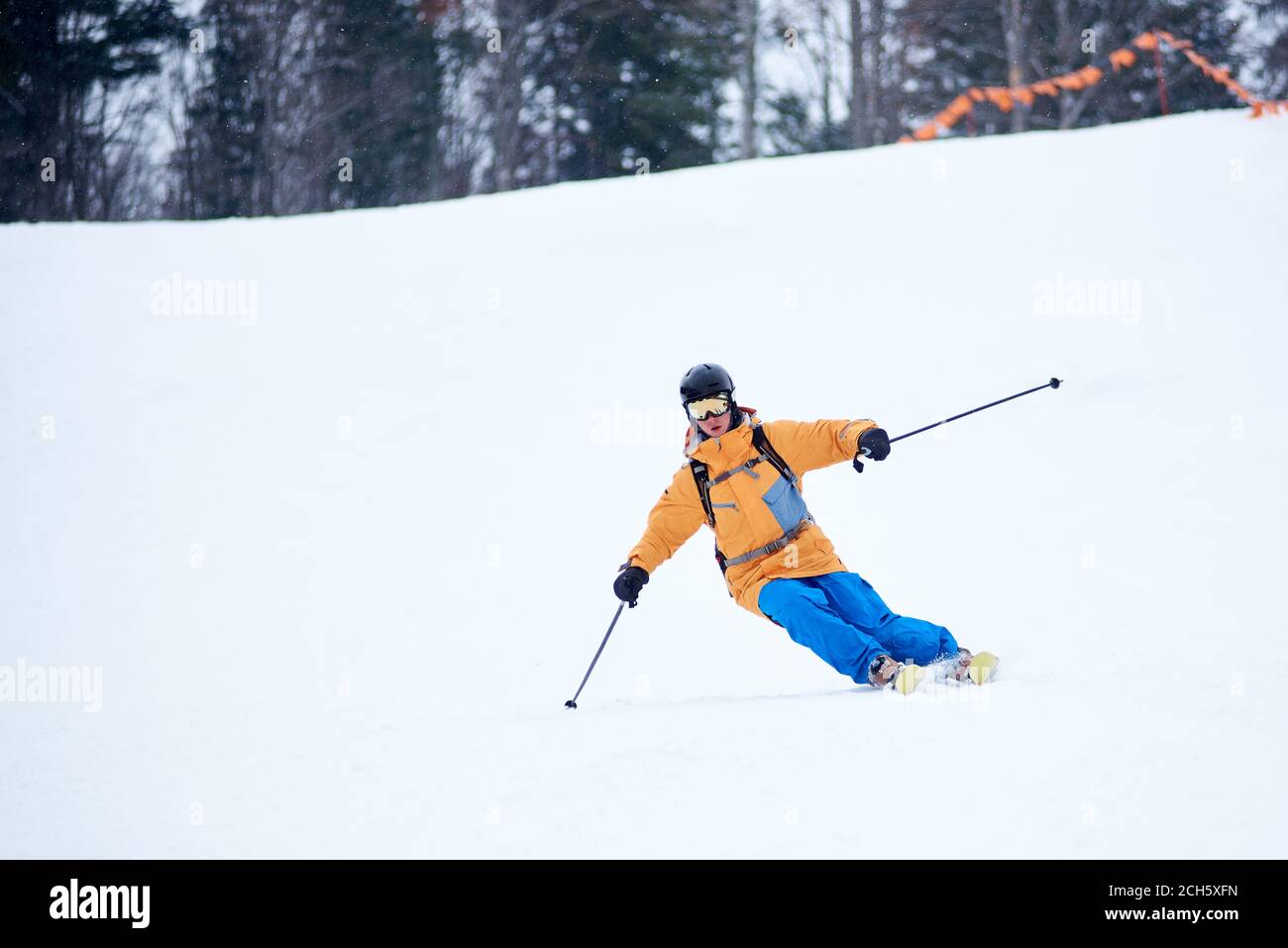 Der professionelle Skifahrer konzentrierte sich auf das Skifahren auf der steilen Skipiste. Geübtes technisches Carving Skifahren. Netz an Hangkante. Bewaldete Bergspitze im Hintergrund. Extreme Winteraktivitäten Konzept Stockfoto