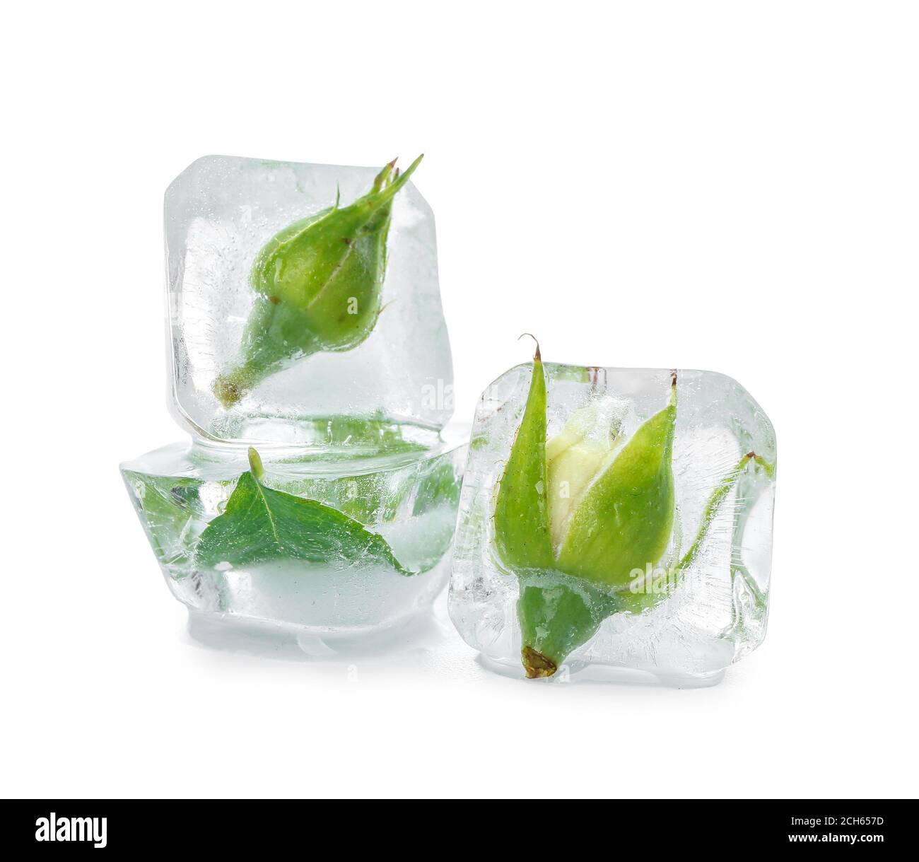 Gefrorene Blumen in Eis auf weißem Hintergrund Stockfoto