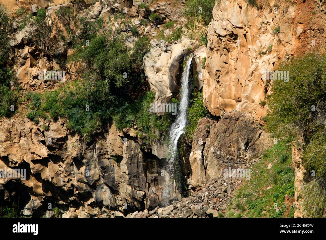 Israel, Golan-Höhen, Gamla Wasserfall Naturschutzgebiet. Stockfoto
