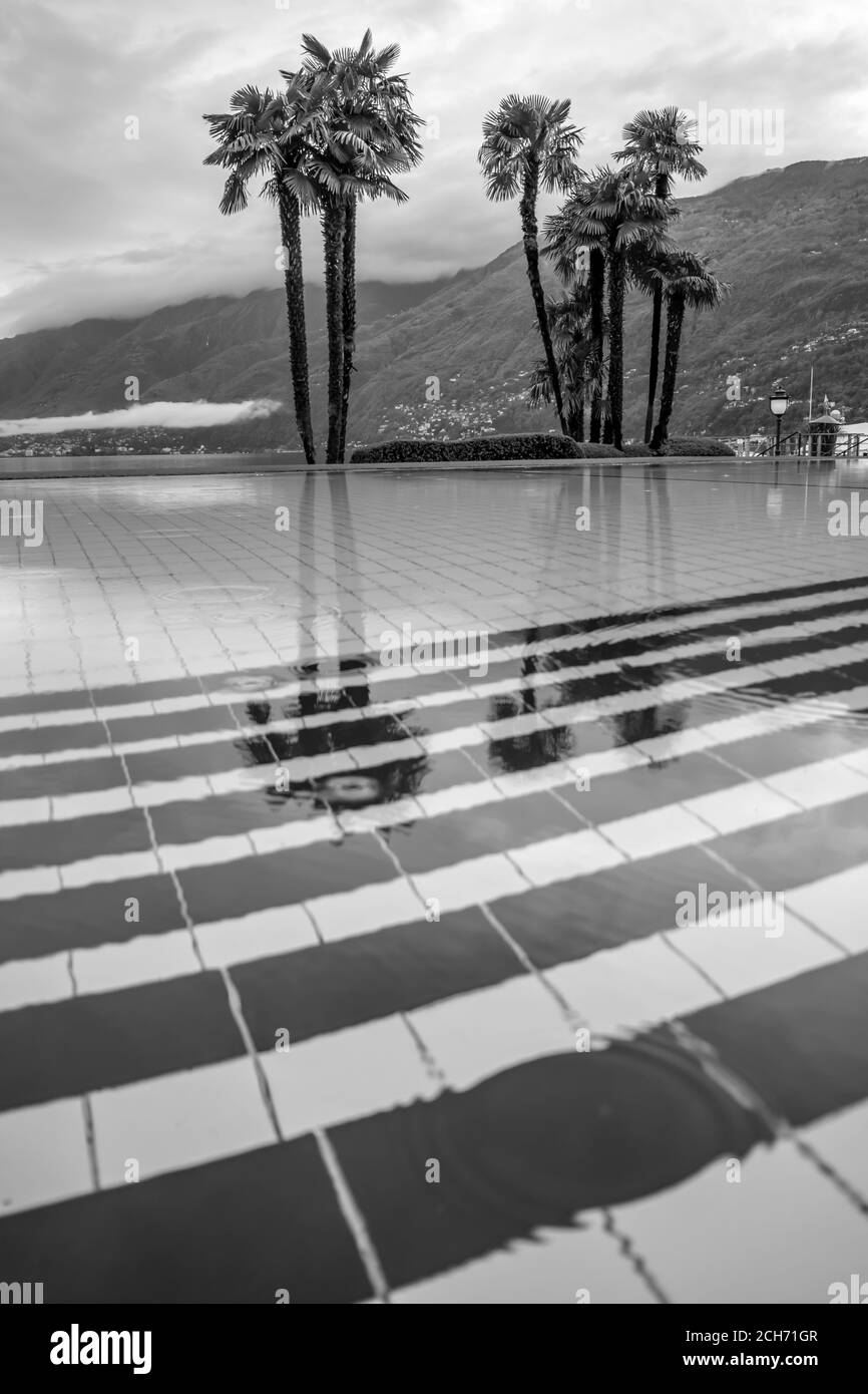 Schwimmbad und Alpensee Maggiore mit Palmen und Berg im Tessin, Schweiz. Stockfoto