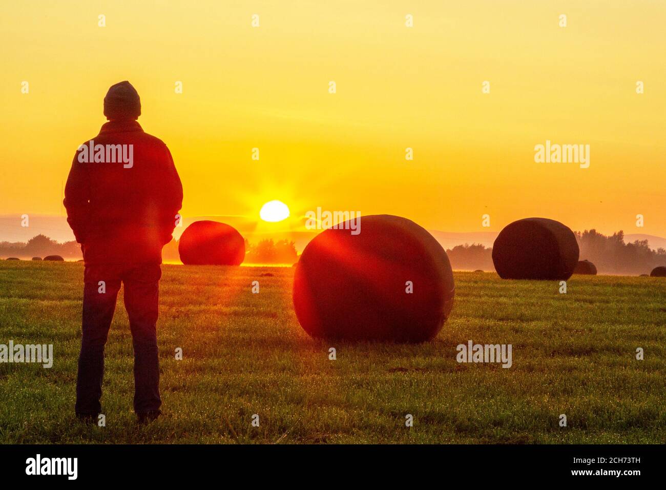 September Sonnenaufgang über den Feldern von Stemmy Grassland, Burscough, Lancashire UK. Eingewickelte Heuballen, vorbereitet für Silage, Heulage für Winterfutter. Silage ist Futter aus grünen Laubpflanzen, die dann als Silage, Silierung oder Silage fermentiert werden. Es wird an Rinder, Schafe oder andere Wiederkäuer verfüttert. Stockfoto