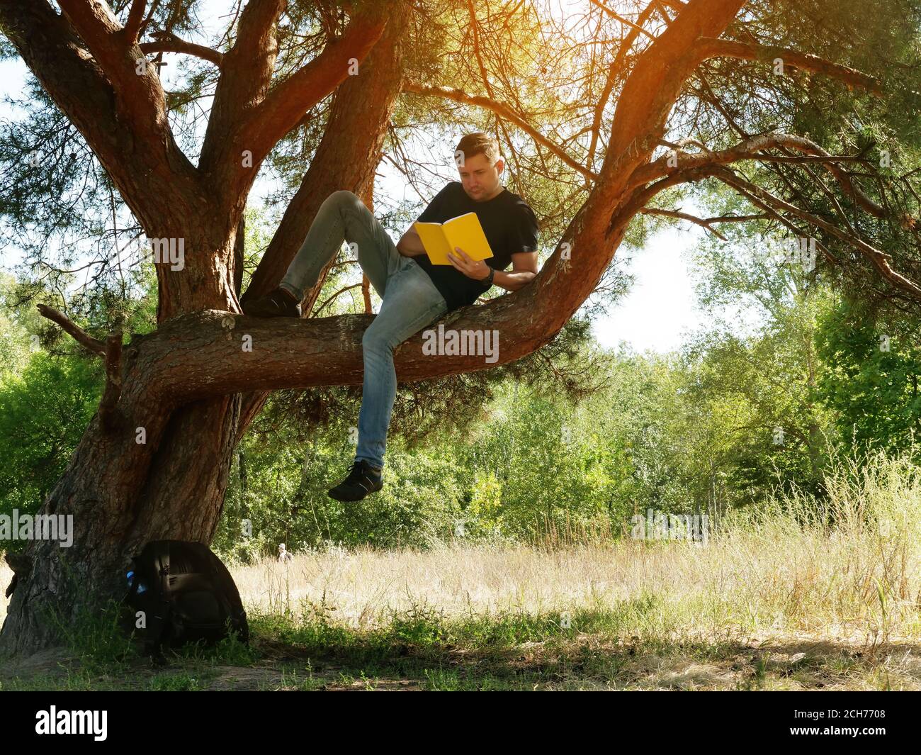 Sommerurlaub im Wald. Der Typ im Baum liest ein Buch. Stockfoto