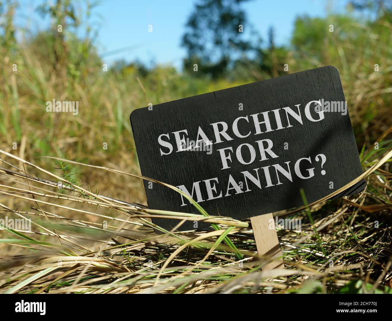 Auf der Suche nach Bedeutung Frage ein kleines Schild auf einem Weg im Wald. Stockfoto