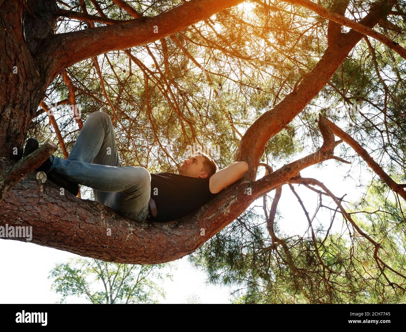 Ein Mann ruht auf einem Ast in einem Sommerwald. Stockfoto
