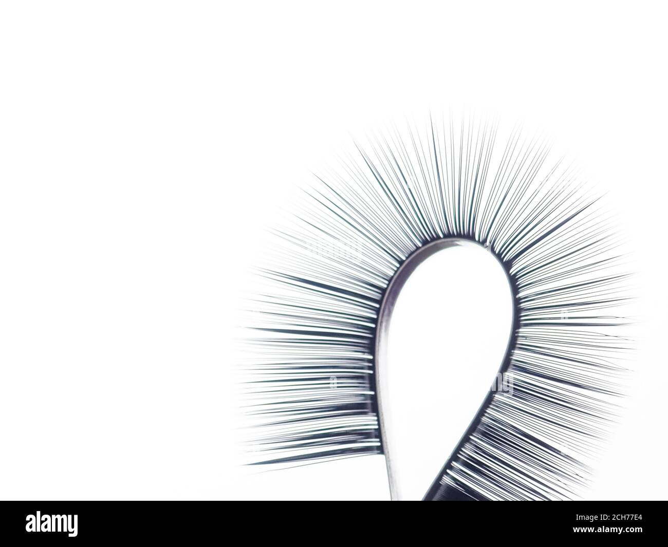 Streifen für Wimpernverlängerungen auf einem gleichmäßigen Ton, verdreht, mit Pinzette gehalten. Industrie künstliche Wimpern, Wimpernverlängerungen, Schönheit Stockfoto