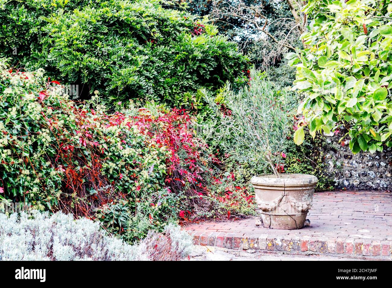 Garten am Haus, Haus von Virginia und Leonard Woolf in Rodmell, Sussex des Mönchs Stockfoto