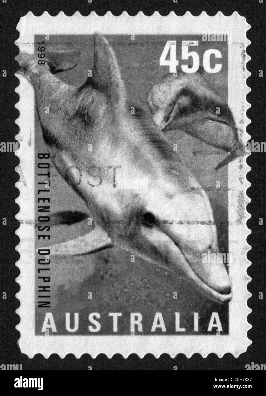 Stempeldruck in Australien, Delphin Stockfoto