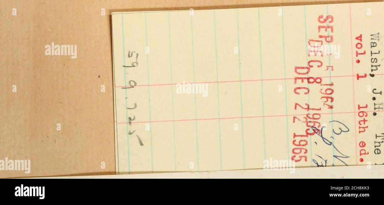 . Das Pferd, in den Ställen und auf dem Gebiet: Seine Sorten, Management in Gesundheit und Krankheit, Anatomie, Physiologie, etc. Der Reinshave, zusätzlich zu dem einzelnen Züß, der an der Außenseite jedes VIER-IN-HAND 343 Pferde Bit befestigt ist, ein anderes genannt Kopplungsreiß, Die eine Schnalle gegen den Fahrer hat, der auf den Fahrbereich läuft, so dass er nach dem Mund des Pferdes und seiner Neigung, zu domore oder weniger Arbeit als sein Anteil, nach Lust und Vergnügen aufgenommen oder ausgemerbt werden kann. Diese verschiedenen Punkte der Difienz sind in der Gravur (Seite 342), in der ein Satz von Doppel-Geschirr, passend zu einem Seufzer Stockfoto