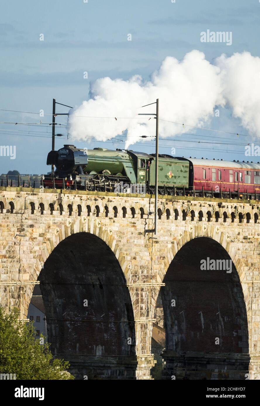 Der Flying Scotsman überquert die Royal Border Bridge, die den Fluss Tweed zwischen Berwick-upon-Tweed und Tweedmouth überspannt. Stockfoto