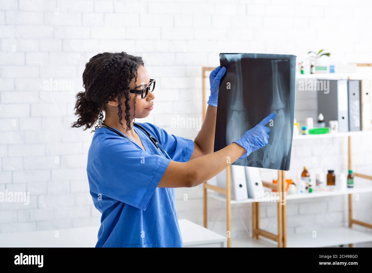 Weibliche Veterinärchirurgen, die Tierröntgenuntersuchung in der modernen Klinik Stockfoto