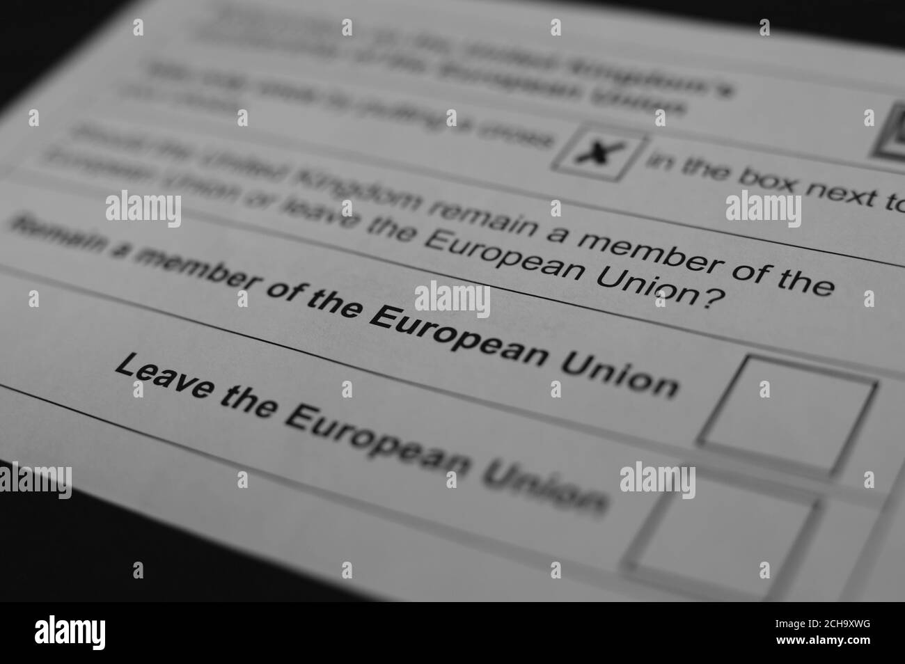 Detail eines EU-Referendums Briefwahlzettel, London. DRÜCKEN Sie VERBANDSFOTO. Bilddatum: Montag, 13. Juni 2016. Bildnachweis sollte lauten: Yui Mok/PA Wire Stockfoto