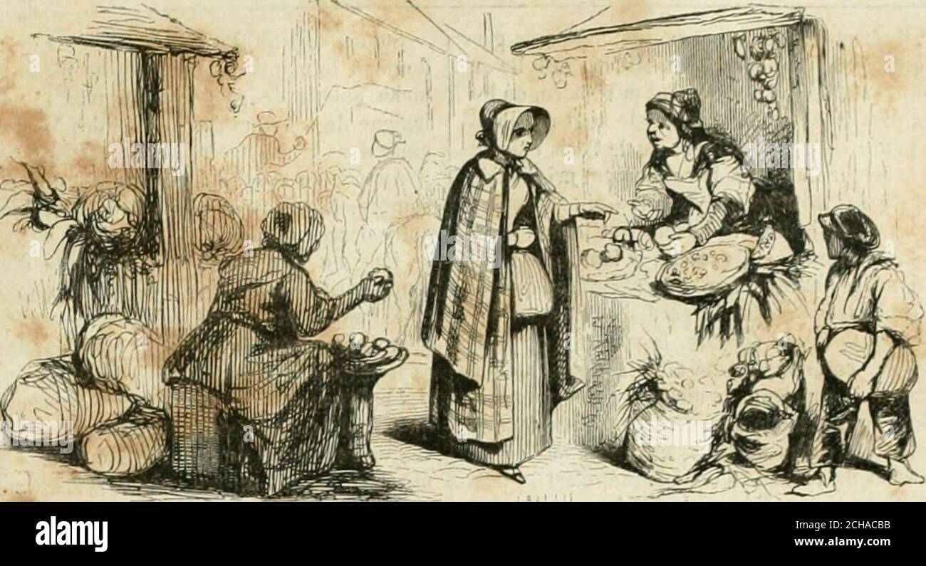 . Les Français peints par eux-mêmes . LA MÉNAGÈRE PARISIENNE ^ DRISSTT Stockfoto