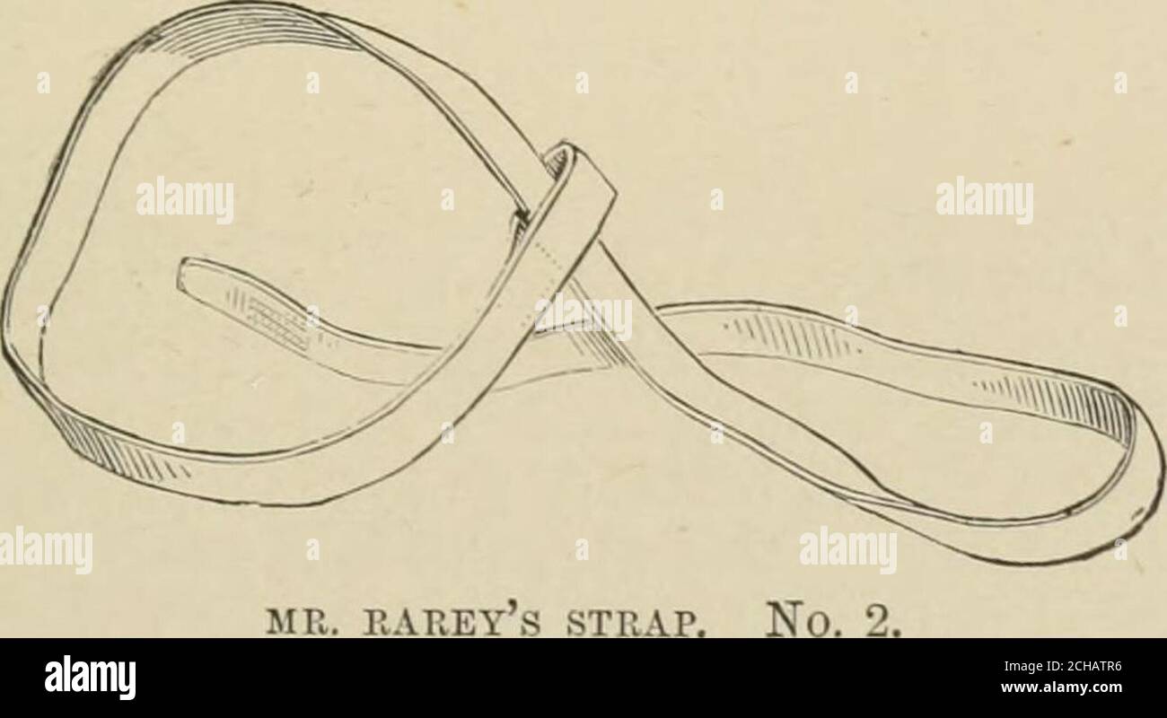 . Das Pferd, in den Ställen und auf dem Gebiet: Seine Sorten, Management in Gesundheit und Krankheit, Anatomie, Physiologie, etc. ORINSER MIT DEM BEINGURT UND SURCINGLE AUF. 3ii2;Raving, und dann fangen die off Fetlock in der laufenden Schlinge von Bein-Gurt JSO. 2, die in der beigefügten Form gemacht wird. Mit dieser versehen. MR. RAREYs Gurt, zweiter Gurt in der Tasche, und nachdem er bereits den Beingurt Nr. 1 und das Surcingle wie oben gezeigt, angewendet hat, wird der Gegenstand unter Manipulation eitherinduziert, seinen Fuß in die Schlinge fallen zu lassen, Oder es wird um seinen Knöchel gerutscht, während der aus Zügelweg von der anderen Hand gehalten wird Stockfoto