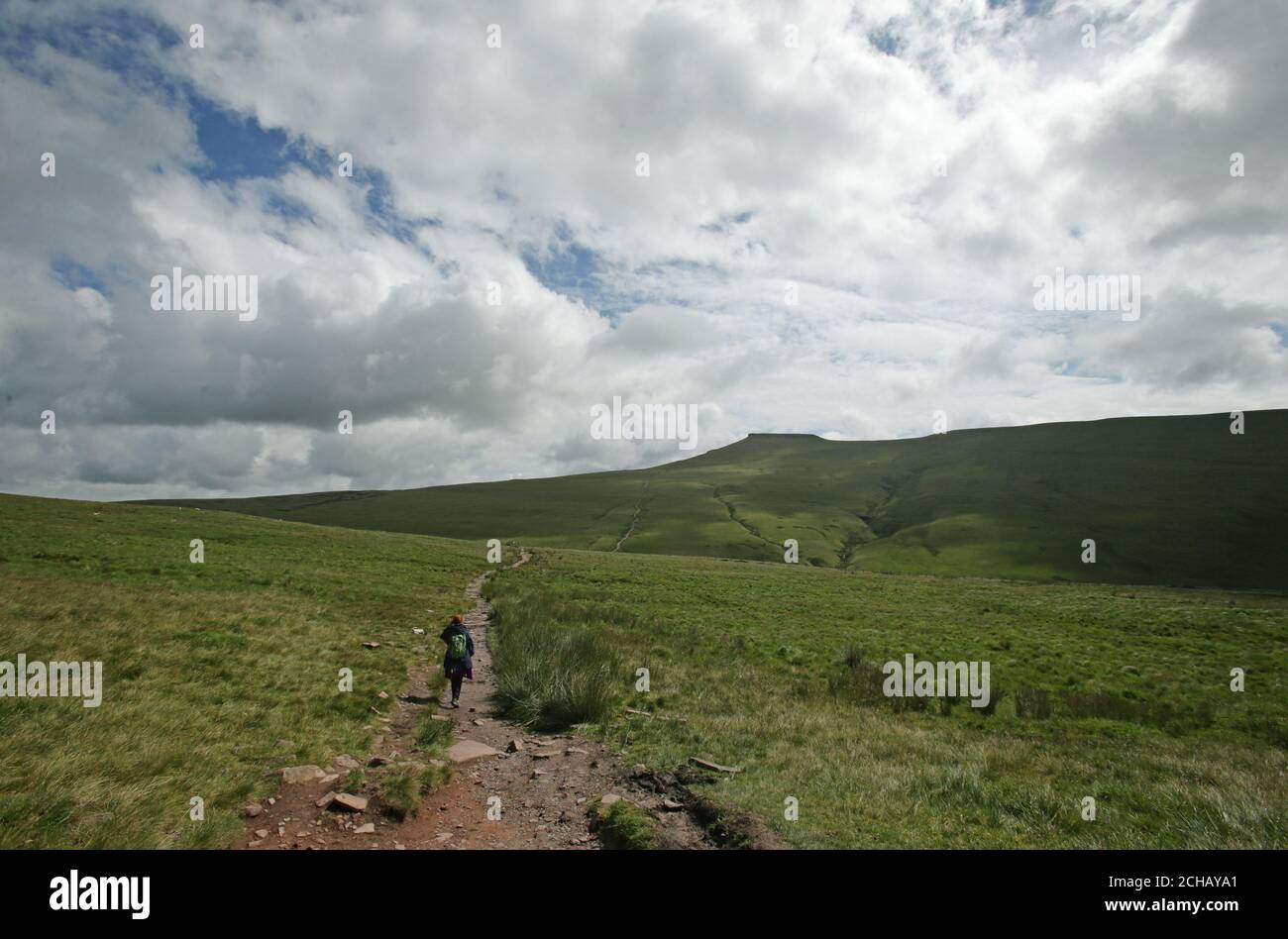 Ein Wanderer auf einem Pfad im Brecon Beacons National Park in Wales. DRÜCKEN Sie VERBANDSFOTO. Bilddatum: Dienstag, 12. Juli 2016. Bildnachweis sollte lauten: Yui Mok/PA Wire Stockfoto
