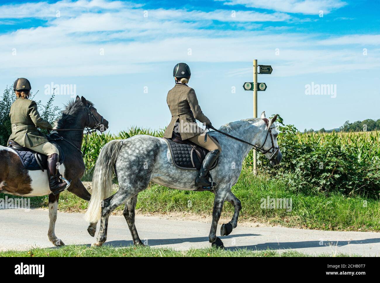 Reiter auf einem öffentlichen Reitweg an einem Sommernachmittag Stockfoto