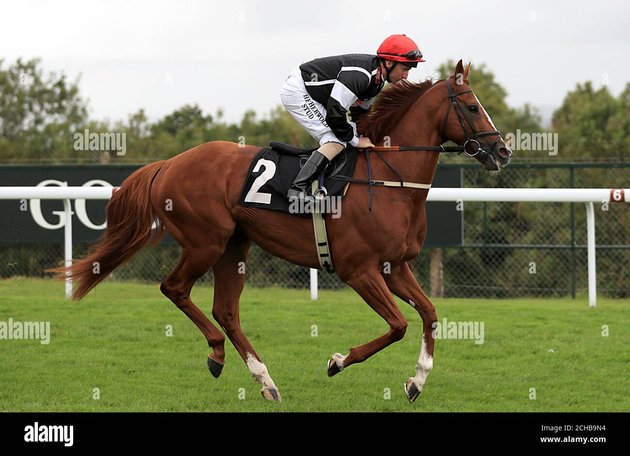 Code Red unter Martin Dwyer tritt im Doom an Bar Supreme Stakes Stockfoto