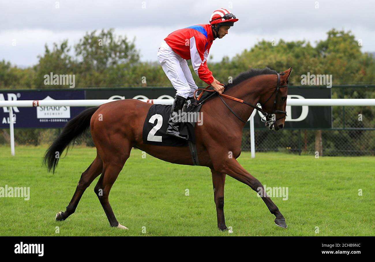 Nip Down the Jug von Jockey Harry Poulton gefahren konkurriert Bei den Butlins Maiden Auction Stakes Stockfoto