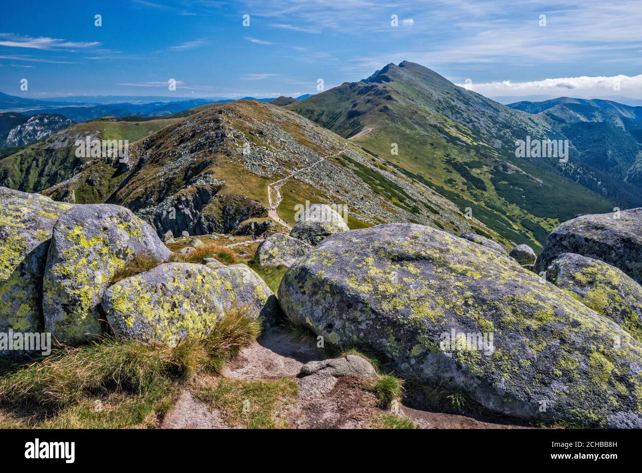 Felsbrocken mit Flechten bedeckt, Dumbier Gipfel in der Ferne, niedrige Tatra Nationalpark, Zilina Region, Slowakei Stockfoto